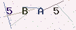 验证码